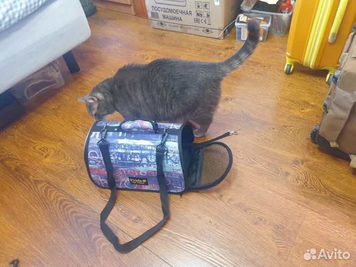 Переноска для котов
