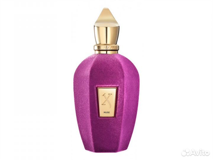 Xerjoff Muse 100 мл