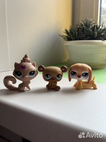Littlest Pet Shop