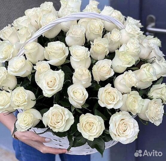 Розы Высокие Розы Гиганты Доставка Москва