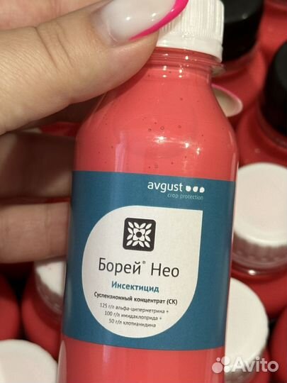 Борей Нео
