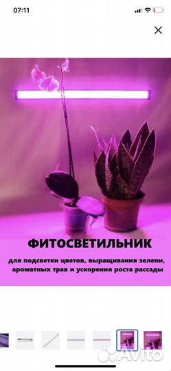 Фитосветильник для растений