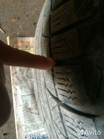 Triangle Snow-LL01 205/55 R16