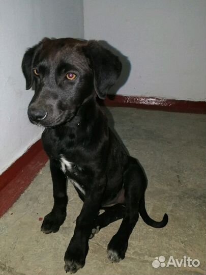 Малышка Эвочка