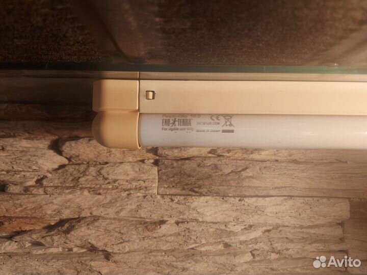 Террариум большой