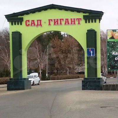 Сад гигант славянск на кубани. Площадь сад гигант краснодарский край. Майкоп яблоки. Погода сад гигант. Парк в сад гигант славянск на кубани.