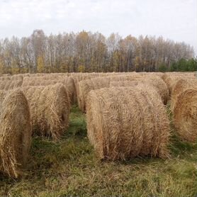 Сено, солома