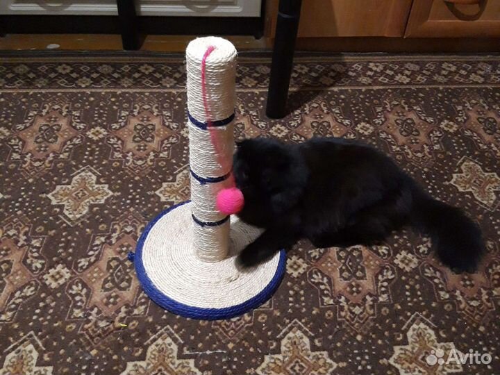 Точилка для кошек