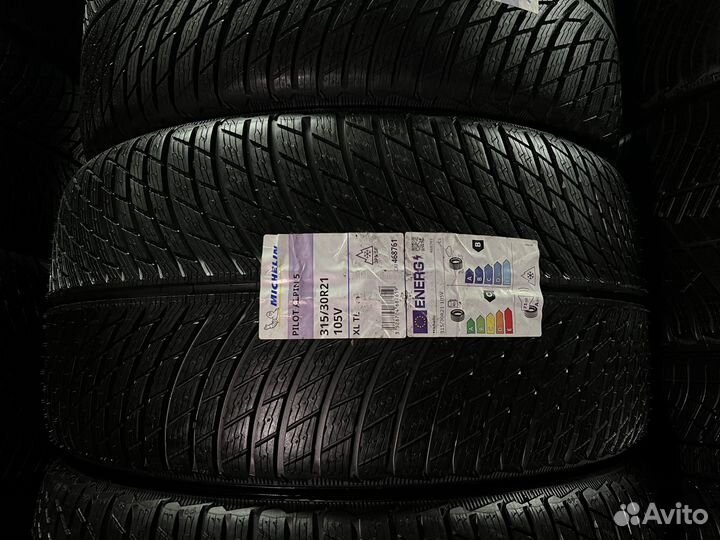 Michelin Pilot Alpin 5 255/35 R20 и 315/30 R21 98W