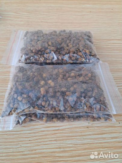 Перга урожай 2023