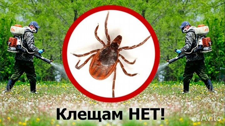Дезинфекция