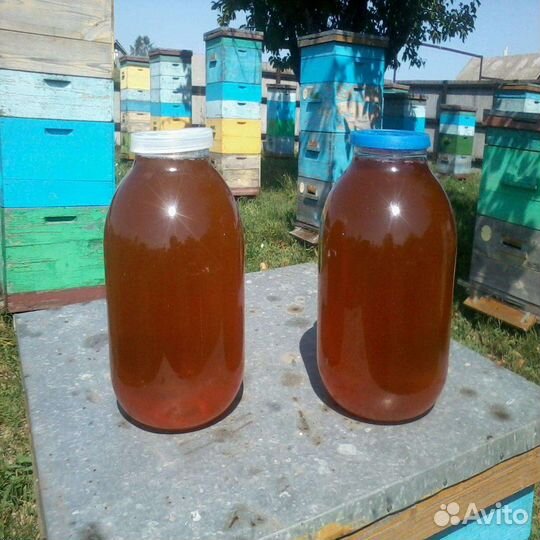 Мёд разнотравье