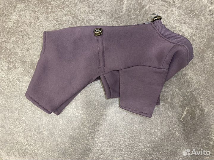 Одежда для собак