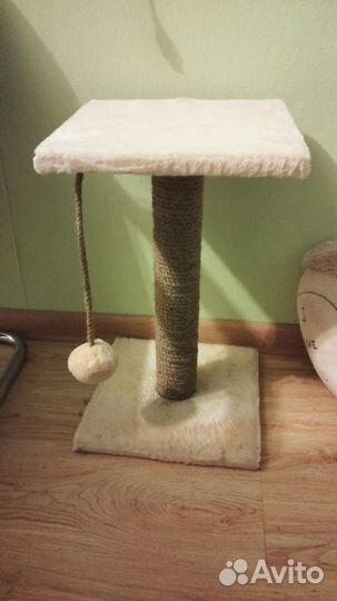 Когтеточка для кошек