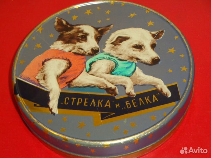 Растение Космос Банка жестяная Белка Стрелка 1960г
