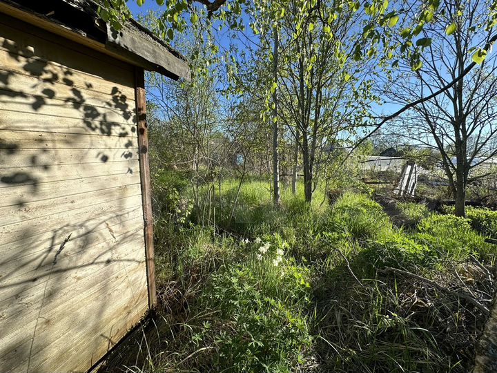 Участок 6 сот. (ИЖС)