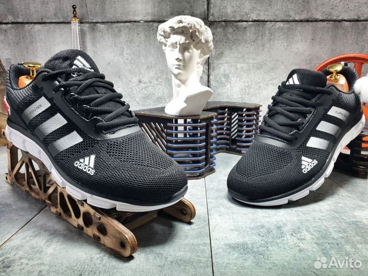 Кроссовки мужские летние Adidas Climacool