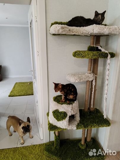 Домик для кошки с когтеточкой