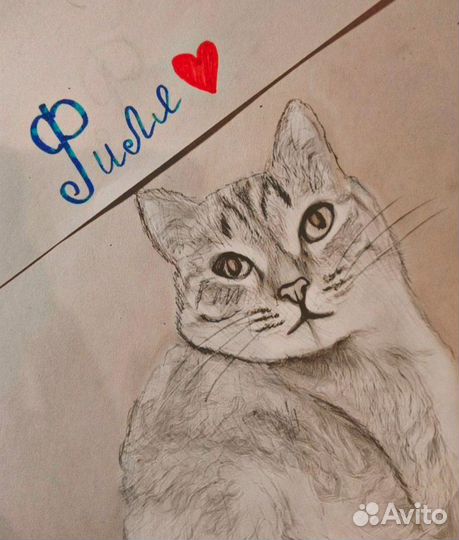 Рисую ваших питомцев