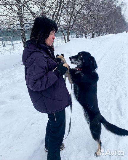 Старичок Вжик ищет дом, из приюта