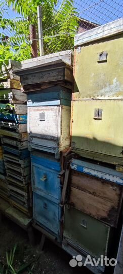 Рамки для улей, прицеп для перевозки улий