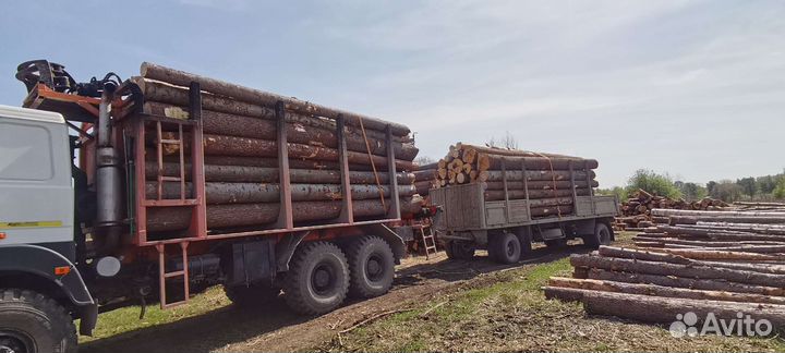 Маз сортиментовоз (урал-лесовоз)