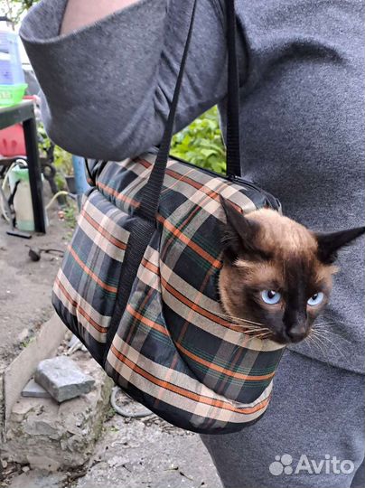 Переноска для животных до 12 кг