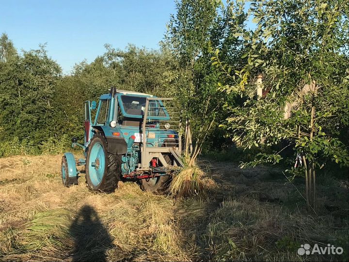 Корчевание деревьев