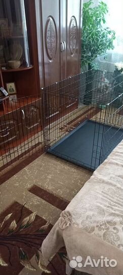 Клетка для собак