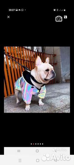 Куртка-дождевик для собаки светоотражающая