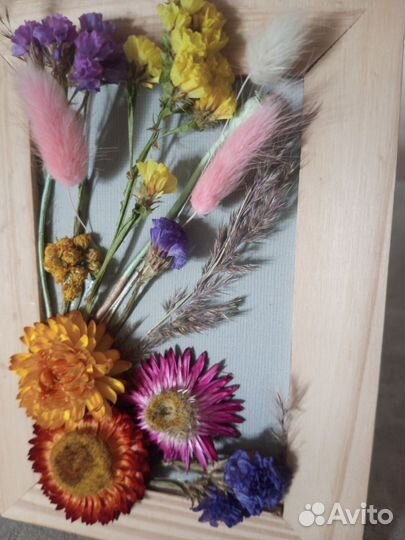 Гербарий сухоцветы в рамке, картина