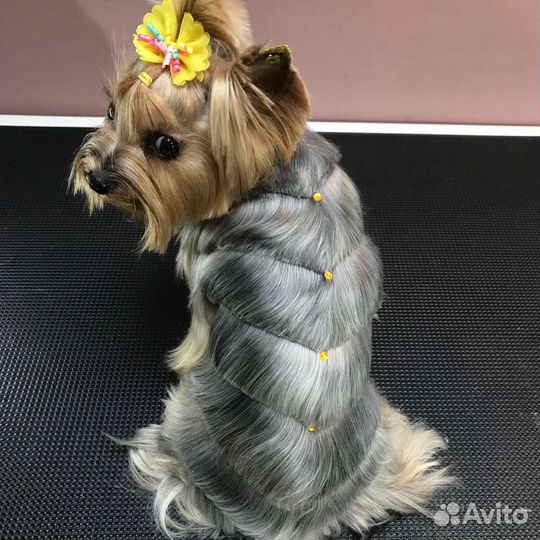 Груминг, стрижка собак