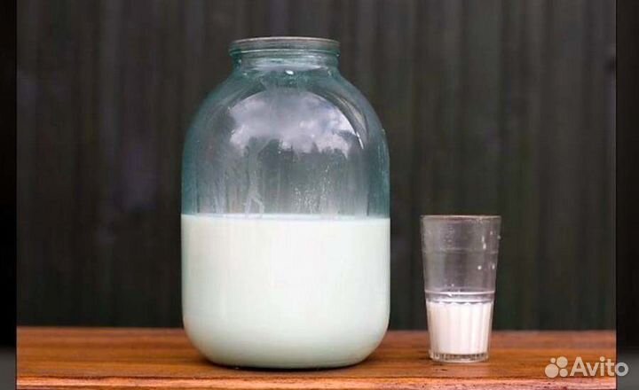 Молоко коровье, творог
