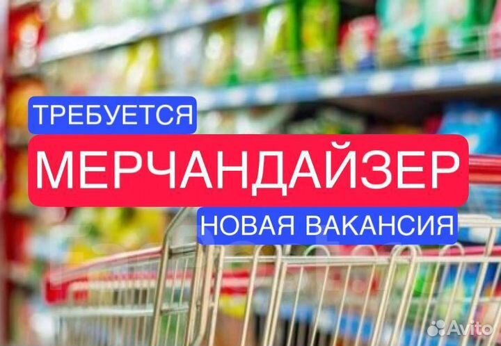 Мерчендайзер / Торговый агент(Звенигород)