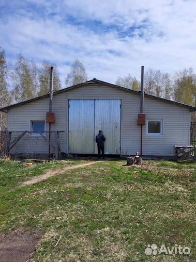 Ищу партнёра для разведения скота