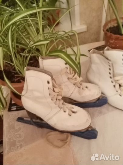 Коньки и новые кожаные ботинки