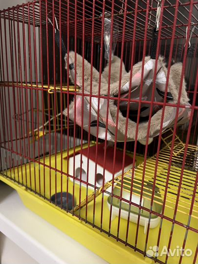 Клетка для грызунов