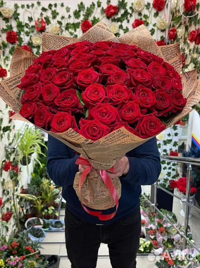 101 роза 51 роза 35 25.Розы красные. Букет роз
