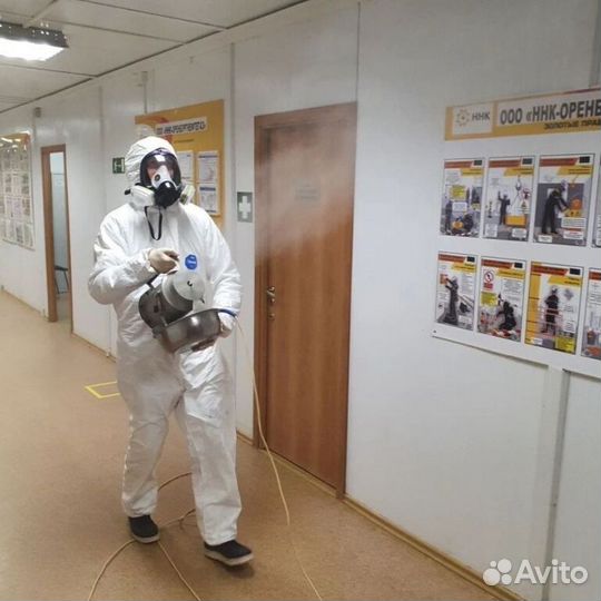 Средство для Уничтожения клопов травли тараканов, блох