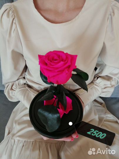 Цветы в подарок