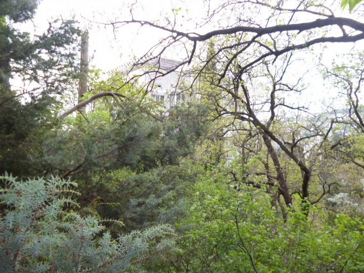 Участок 8 сот. (ИЖС)