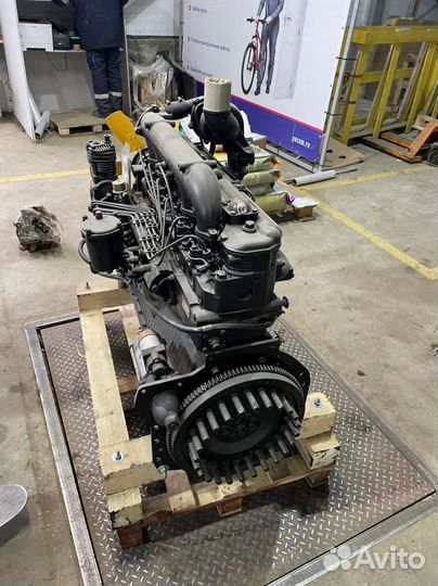 Двигатель Д260 (новый)