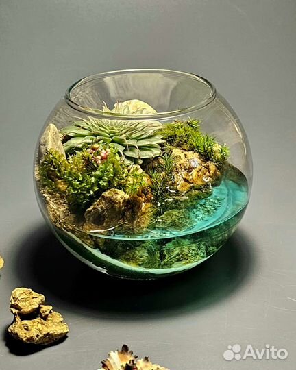 Флорариум, моссариум