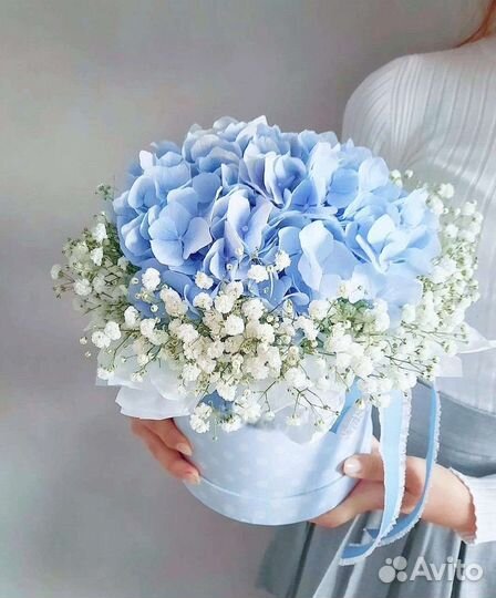 Букет в коробке гипсофила и гортензия Доставка