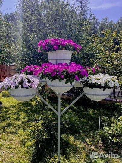 Дерево для петунии 