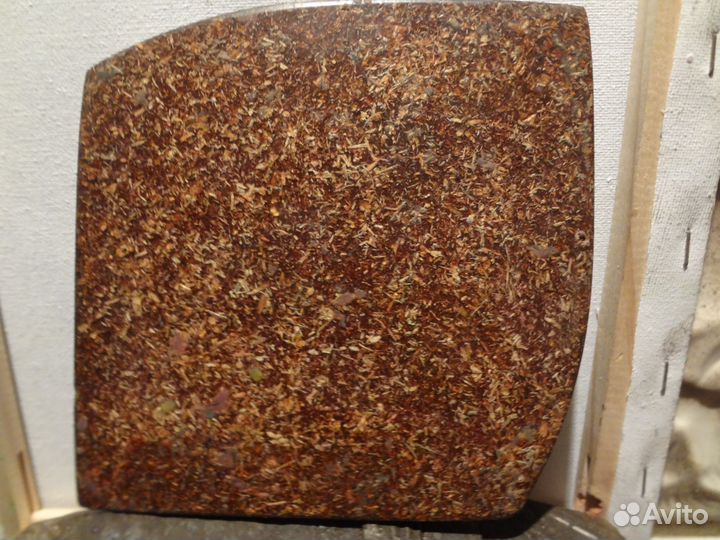 Девушка с голубем