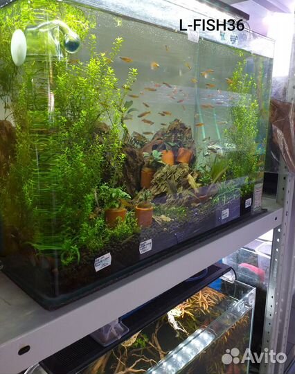 Аквариумы новые джебо (jebo), Dopfin и др