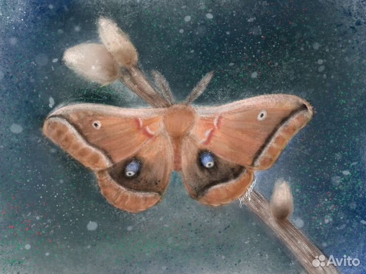 Портреты и арты