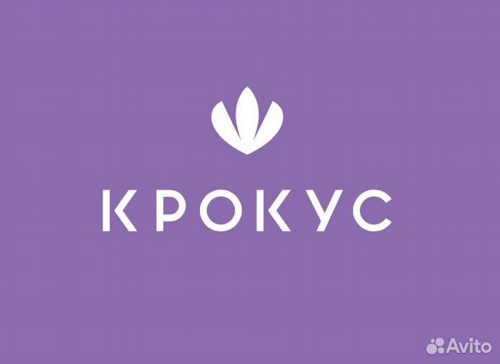 Продажа живых комнатных растений