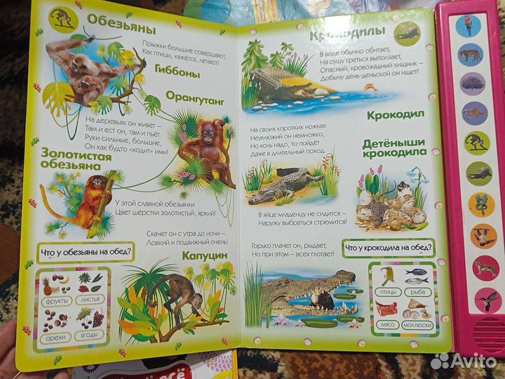 Музыкальная книга